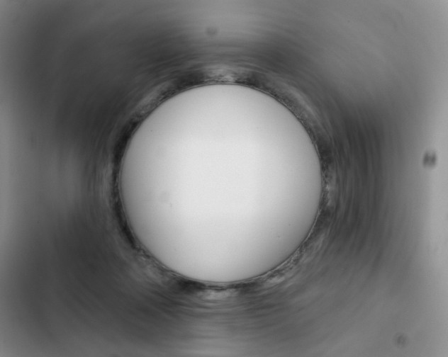 X0000102820314200808181031