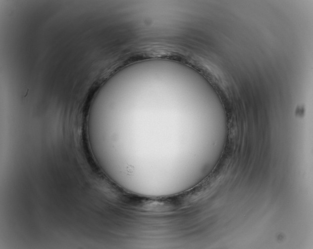 X0000102820315200808181031