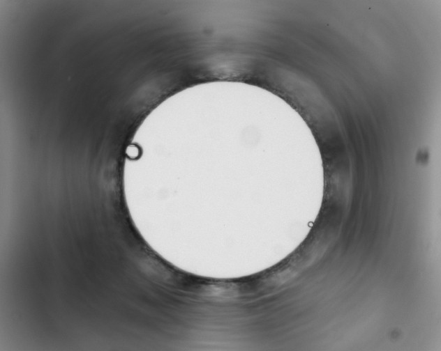 X0000102820317200808181031
