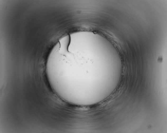 X0000102820318200808181031
