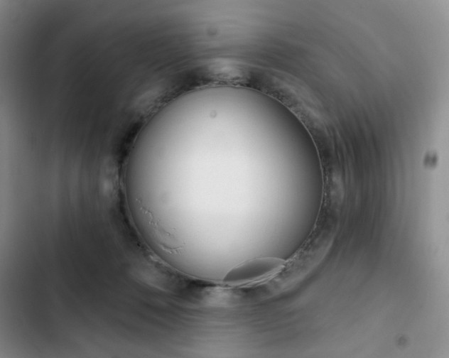 X0000102820320200808181031