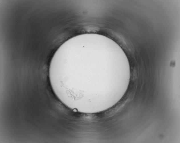 X0000102820321200808181031