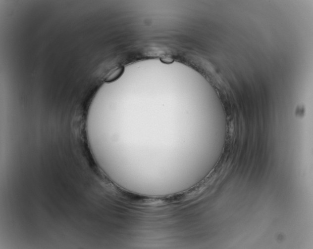 X0000102820322200808181031