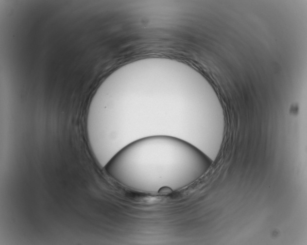 X0000102820323200808181031