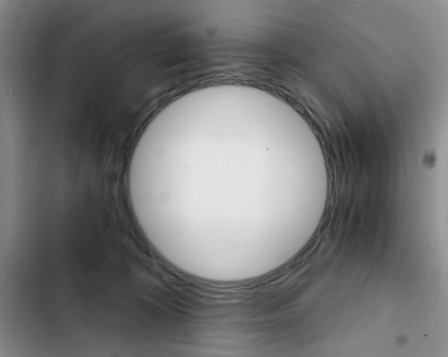 X0000102820324200808181031