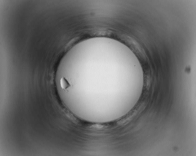 X0000102820326200808181031