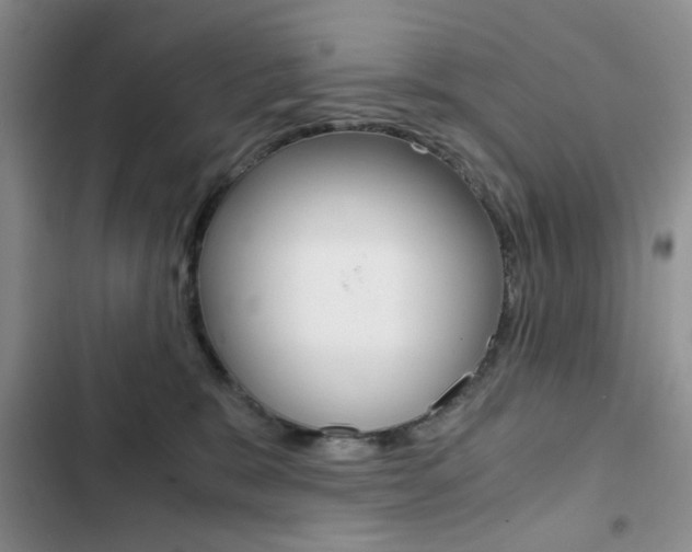 X0000102820327200808181031