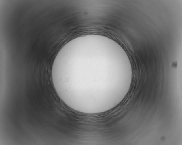 X0000102820328200808181031