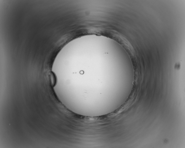 X0000102820329200808181031