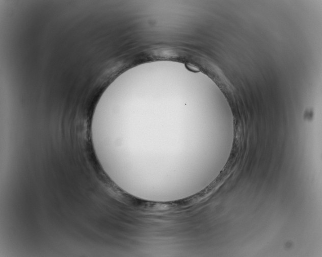 X0000102820330200808181031