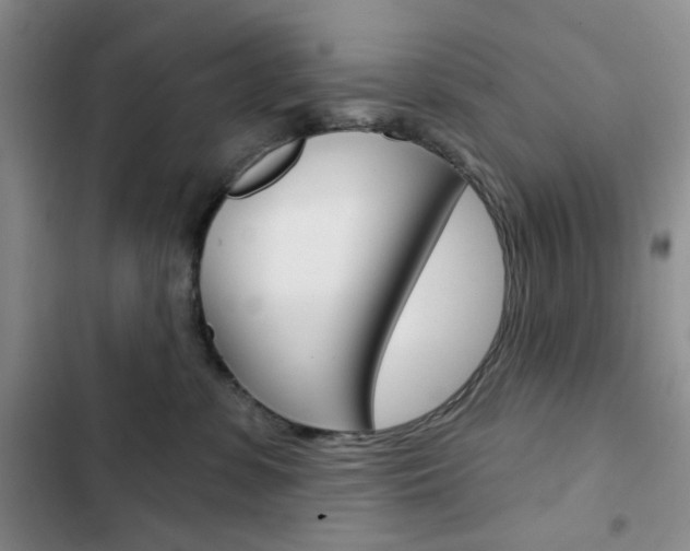 X0000102820331200808181031