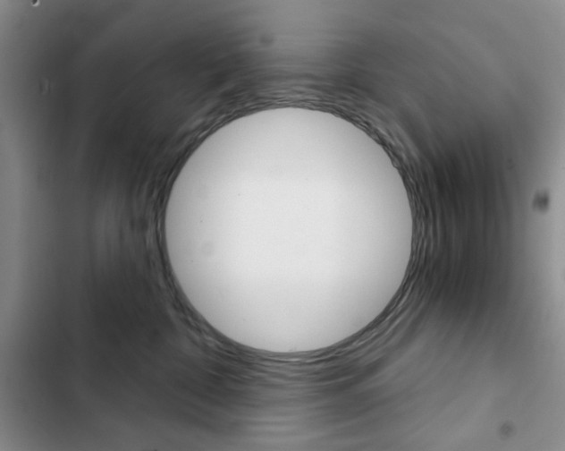 X0000102820332200808181031