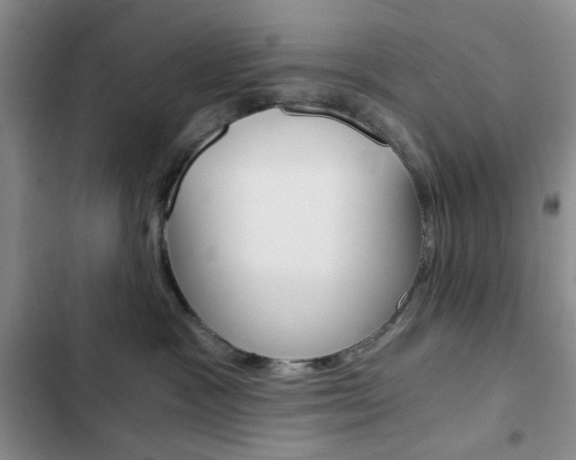 X0000102820333200808181031