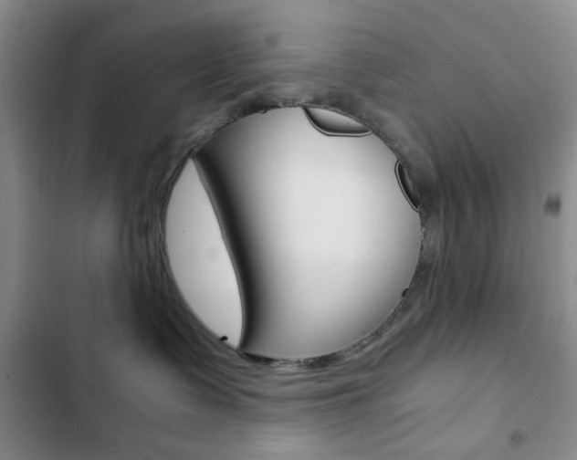 X0000102820335200808181031