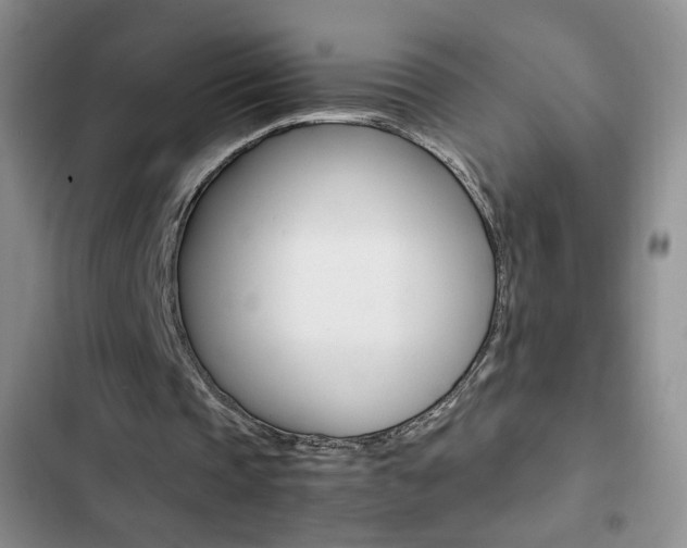X0000102820337200808181030