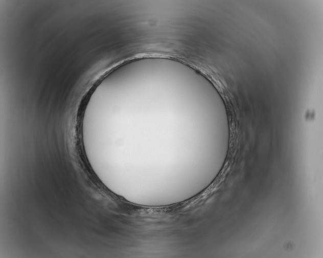 X0000102820338200808181030