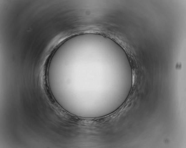 X0000102820339200808181030