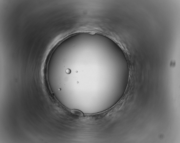 X0000102820340200808181030