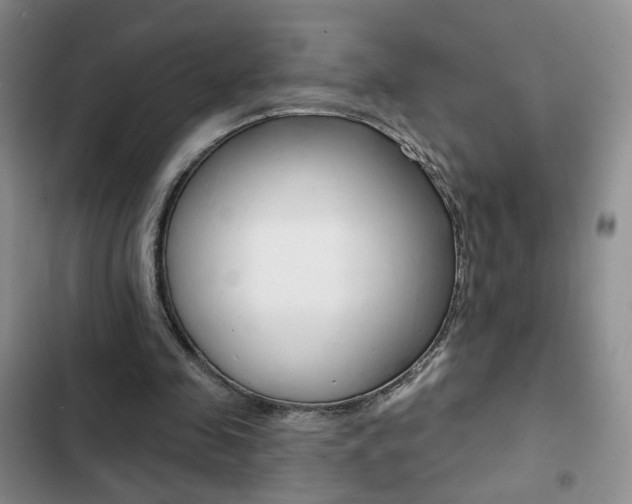 X0000102820341200808181030