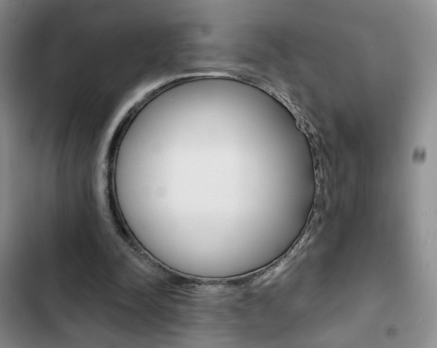 X0000102820342200808181030
