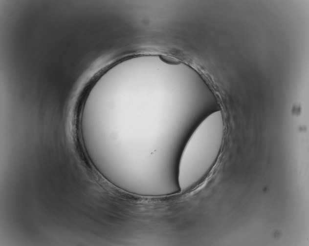 X0000102820343200808181030