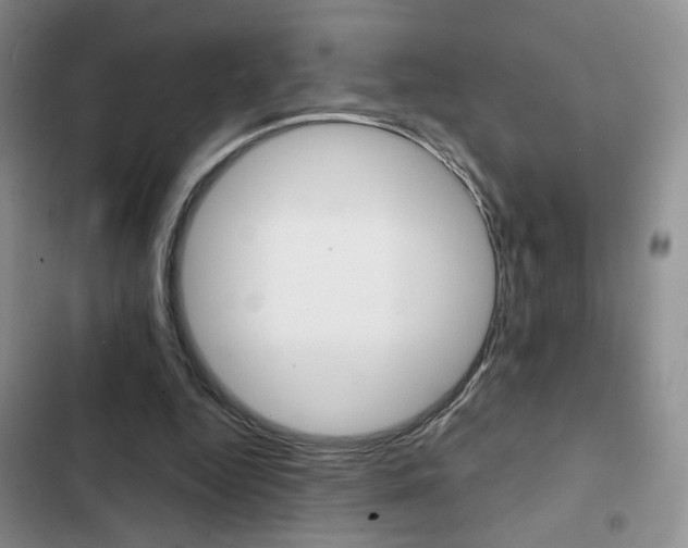 X0000102820344200808181030