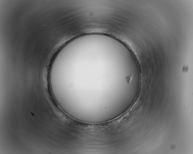 X0000102820345200808181030