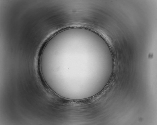 X0000102820346200808181030
