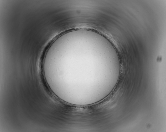 X0000102820347200808181030
