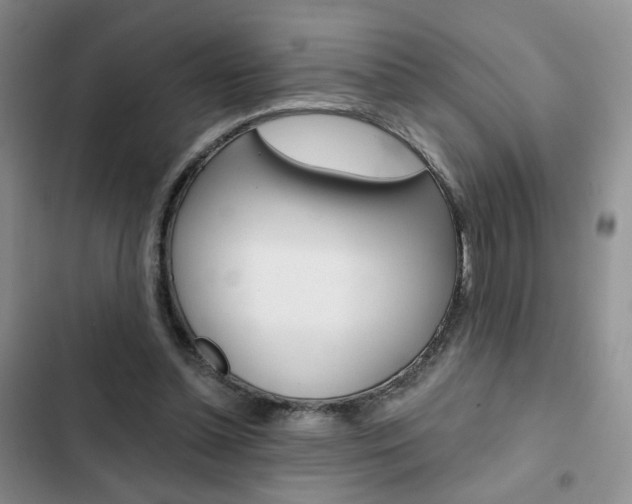 X0000102820348200808181030