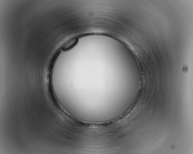 X0000102820350200808181030