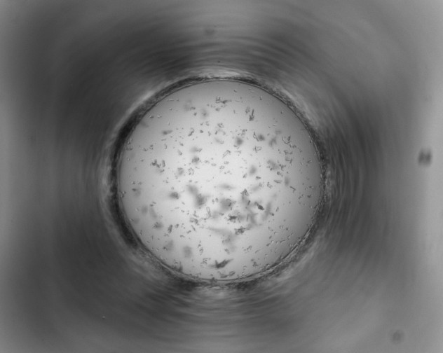X0000102820351200808181030