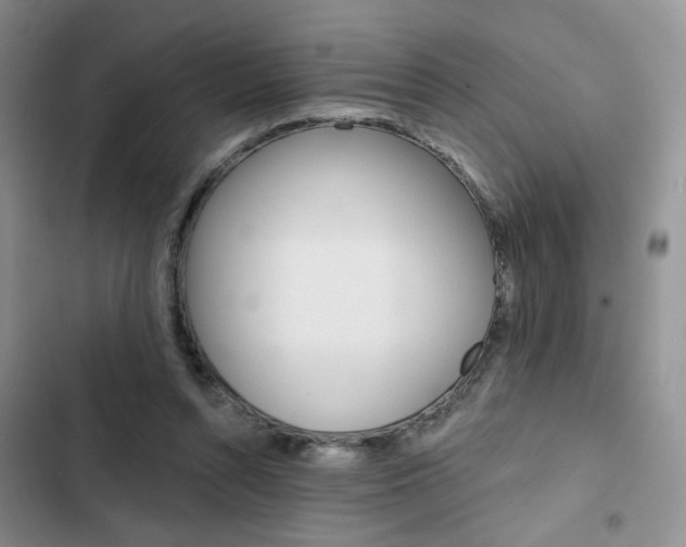 X0000102820352200808181030