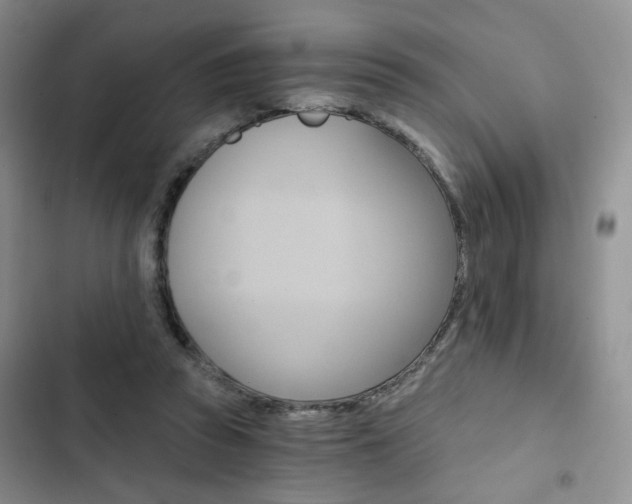 X0000102820353200808181030