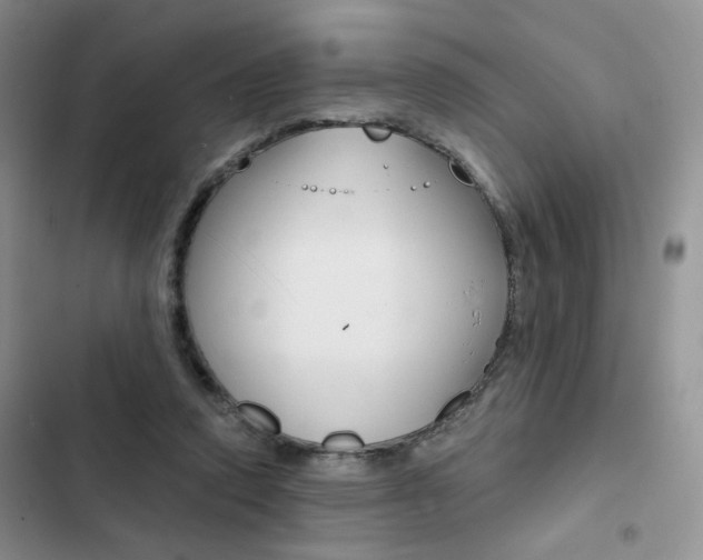 X0000102820354200808181030