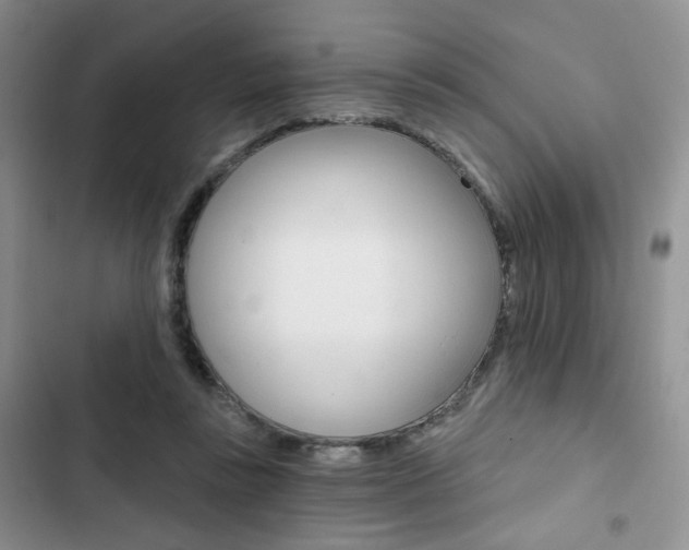 X0000102820355200808181030