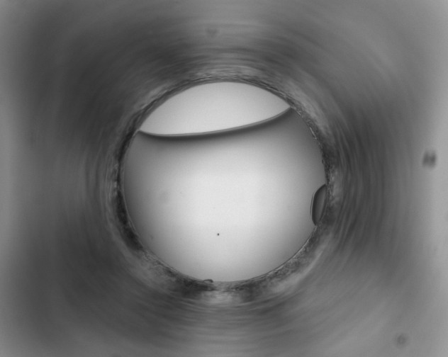 X0000102820356200808181030