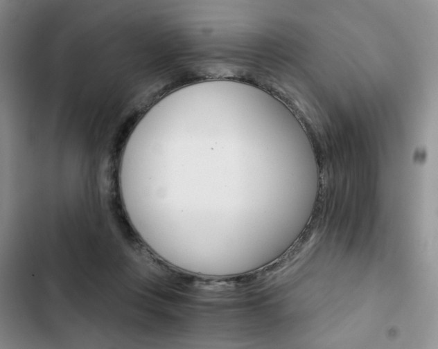 X0000102820359200808181030