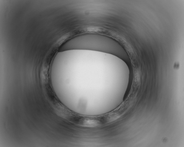 X0000102820360200808181030