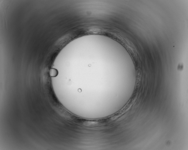 X0000102820361200808181030