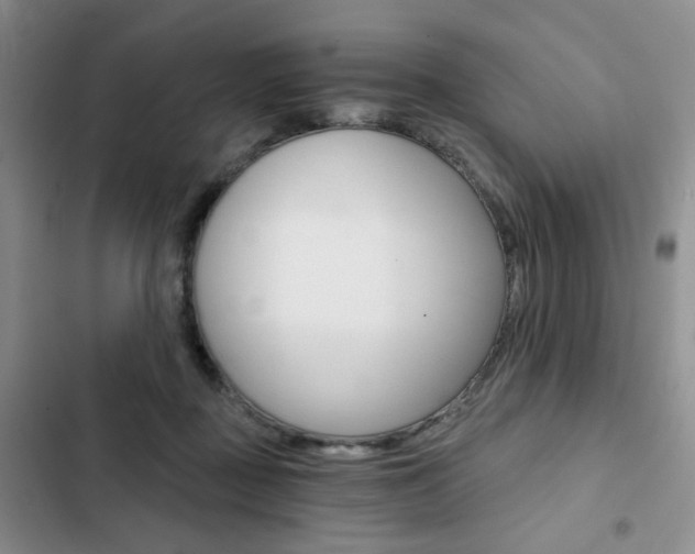 X0000102820363200808181030
