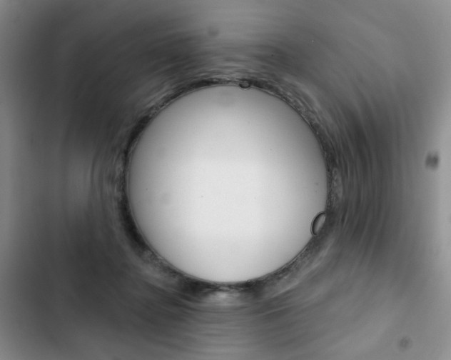 X0000102820364200808181030