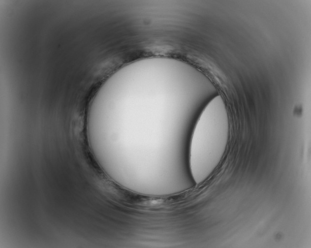 X0000102820365200808181030