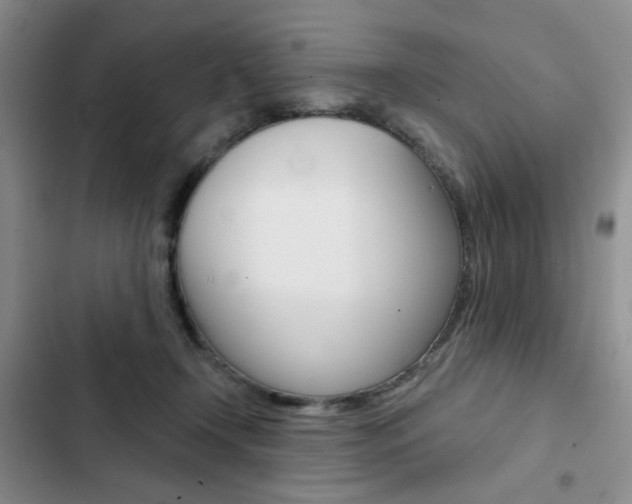 X0000102820366200808181030