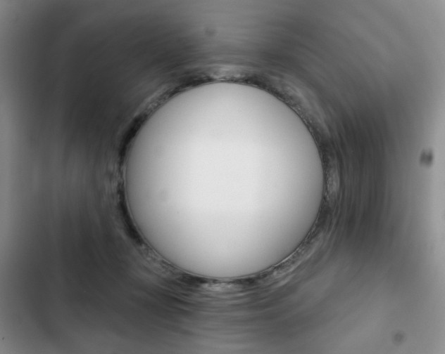 X0000102820367200808181030