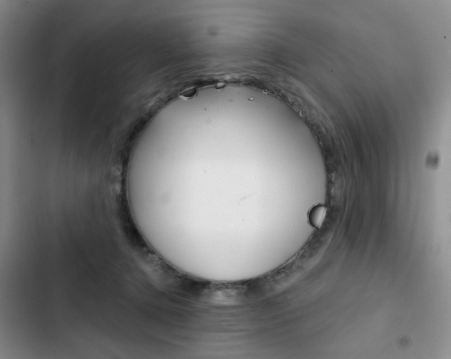 X0000102820368200808181030