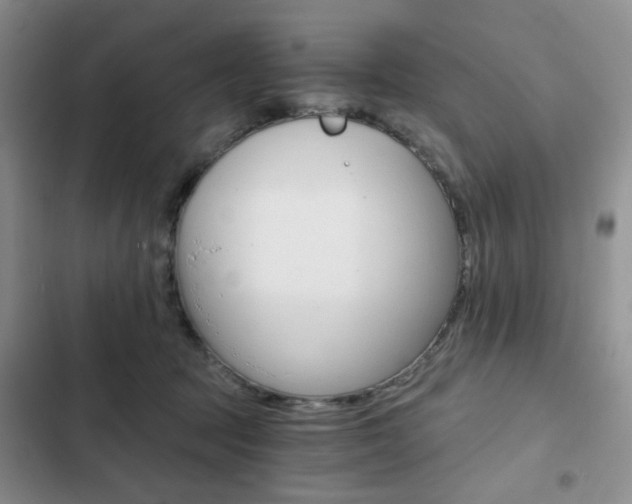 X0000102820369200808181030