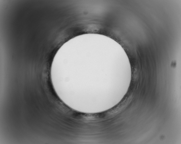 X0000102820370200808181030