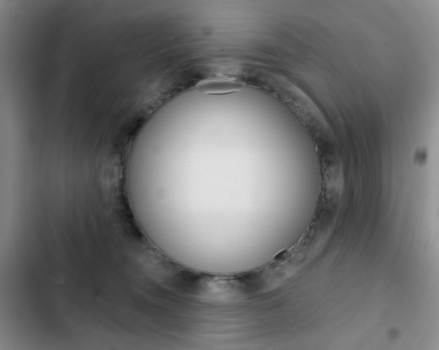 X0000102820372200808181030