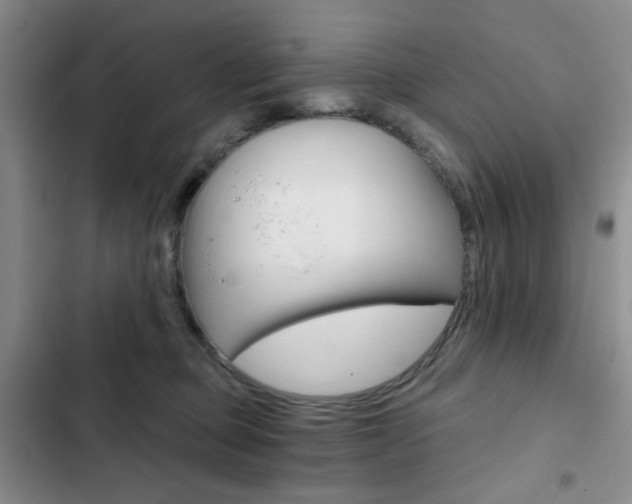 X0000102820373200808181030